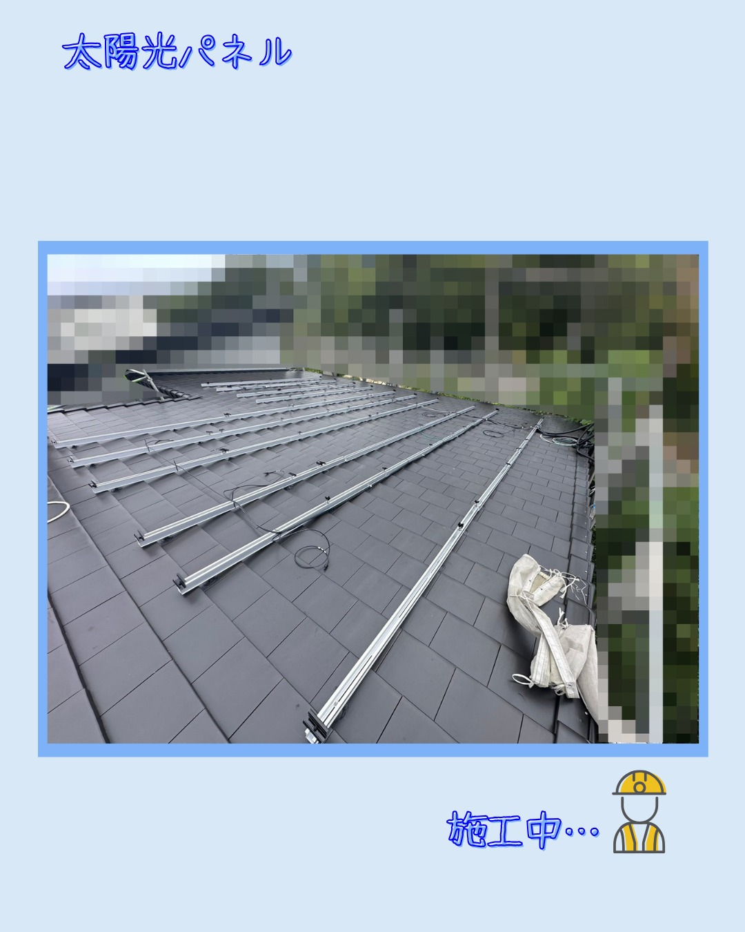 こんにちは、ブリードアルファです！