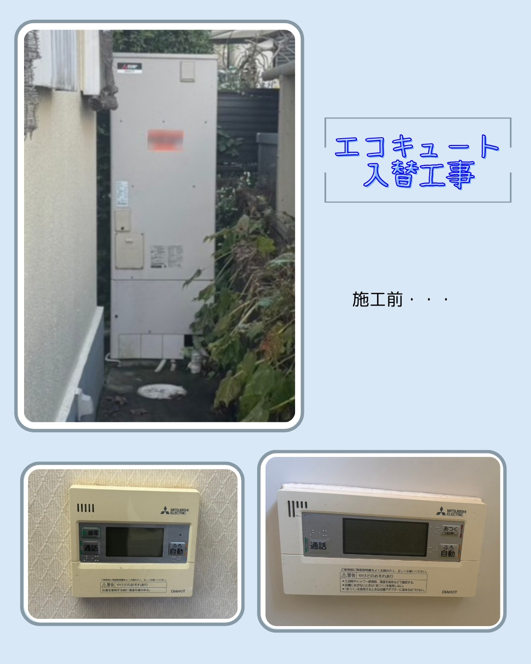 こんにちは！ブリードアルファです。