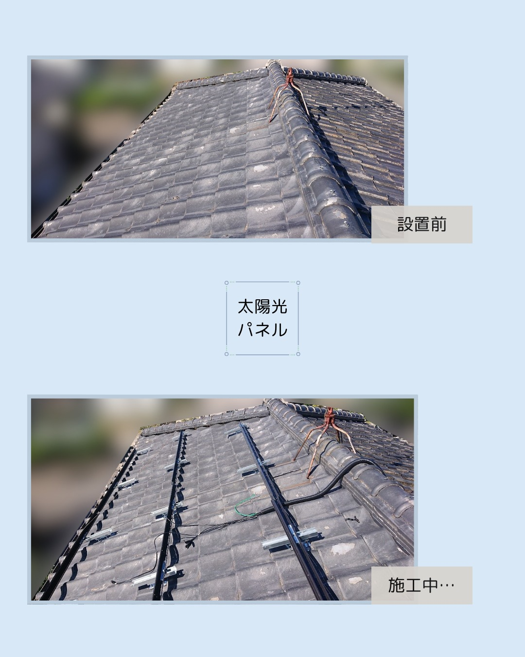 こんにちは！いつもご覧いただき、ありがとうございます。