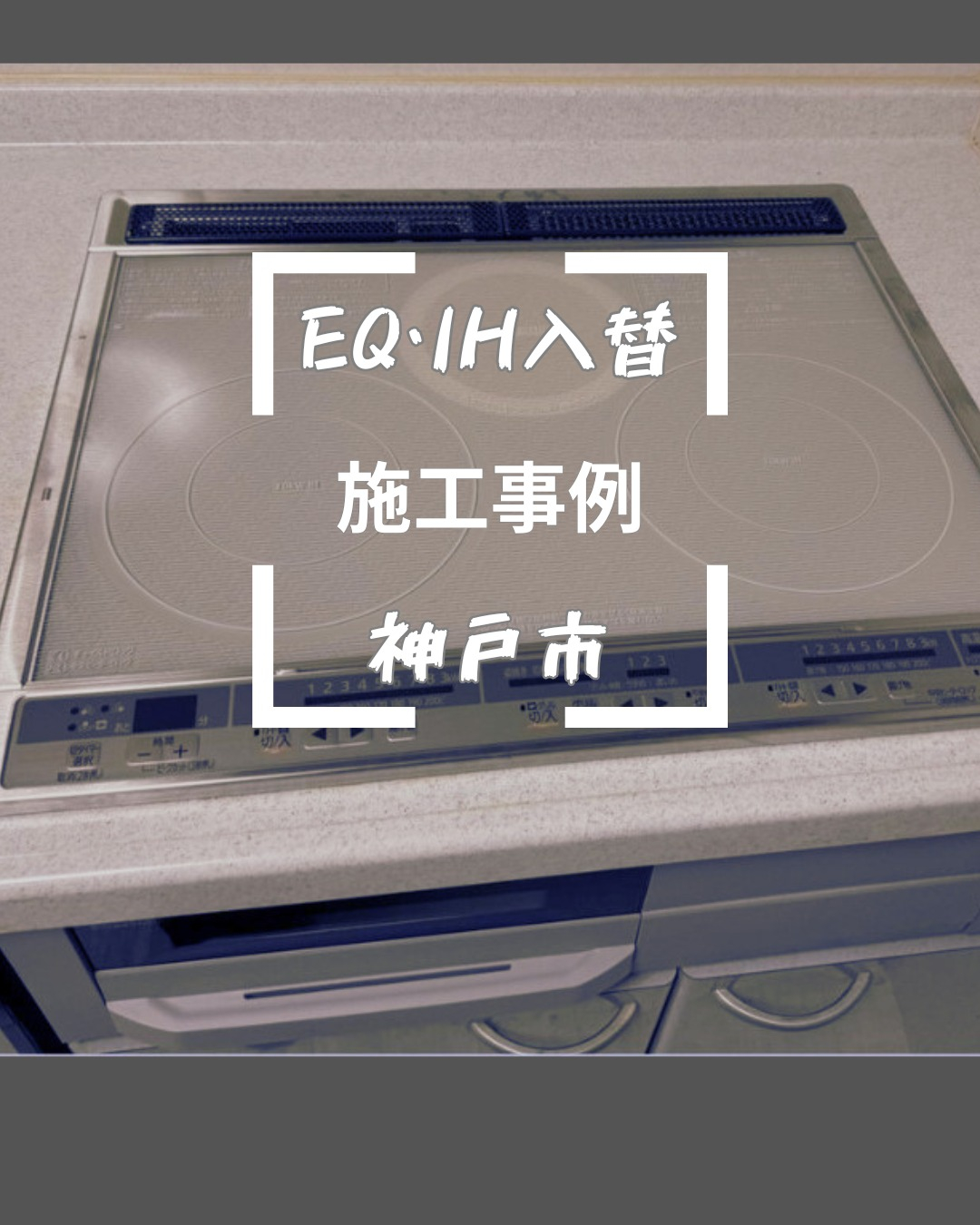 こんにちは！ブリードアルファです。
