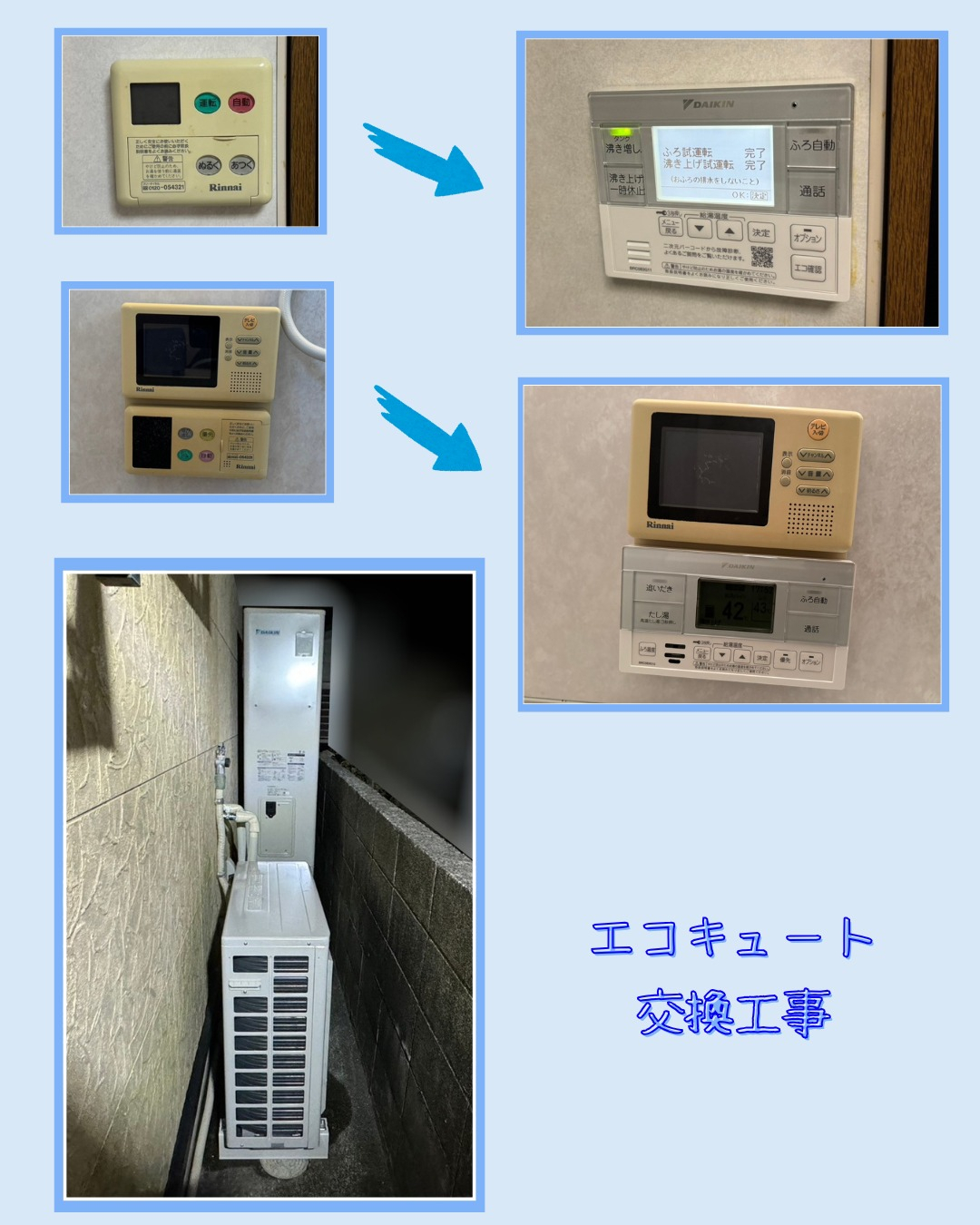 こんにちは！ブリードアルファです。