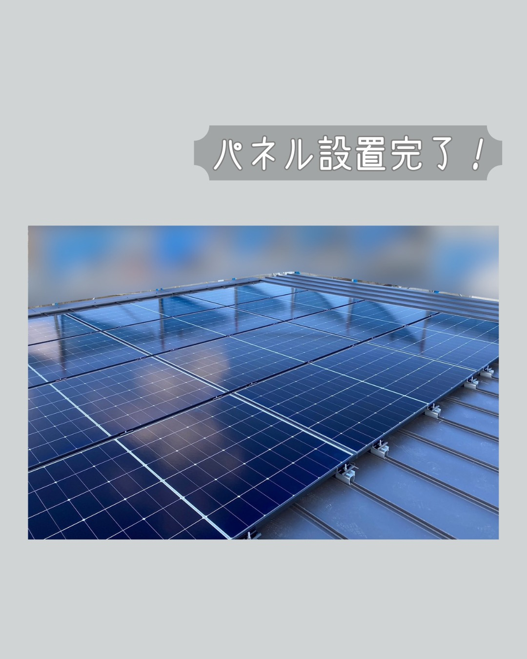 こんにちは！