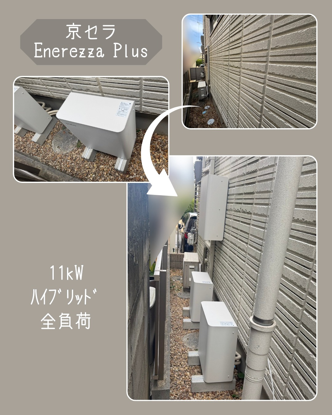 こんにちは！